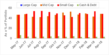 DSP BlackRock Small Cap Fund - Portfolio